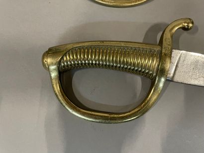 Two swords with fluted brass handles, flat...