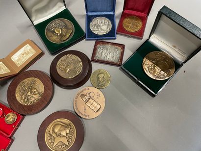 Medals and metal plaques holder