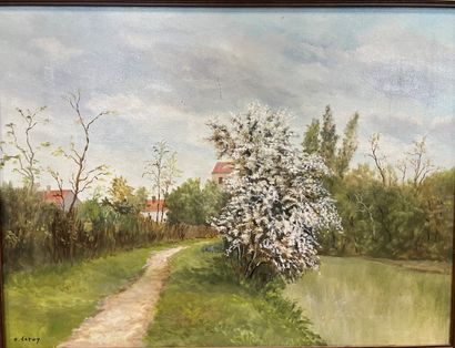 Lot of paintings : Landscapes