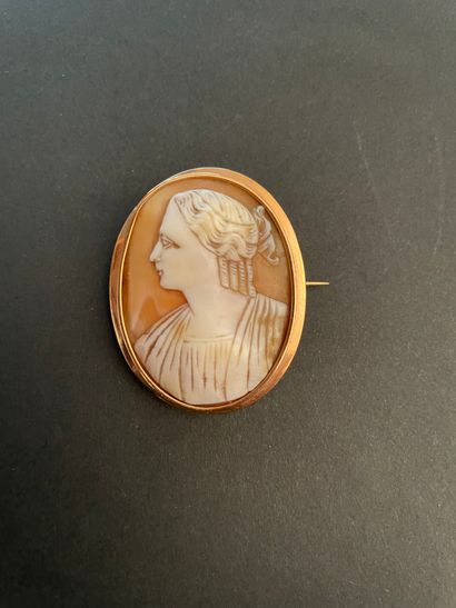 Broche camée coquille ovale dans un cadre...
