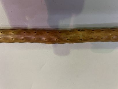 Set of two canes forming spears, the handles...