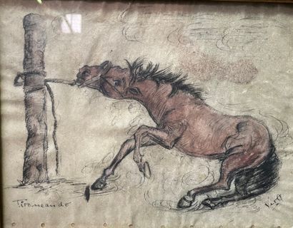 École moderne du XXe siècle
Cheval au piquet...