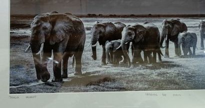Photographies contemporaines.

Dimensions...
