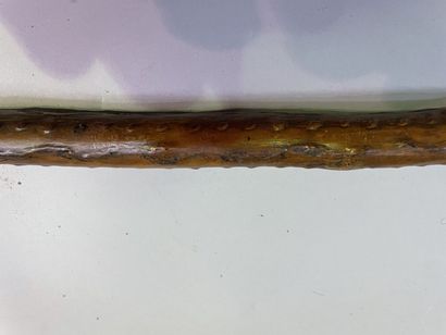 Set of two canes forming spears, the handles...