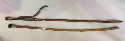 Set of two canes forming spears, the handles...