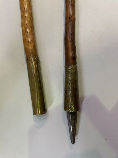 Set of two canes forming spears, the handles...