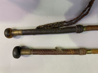 Set of two canes forming spears, the handles...