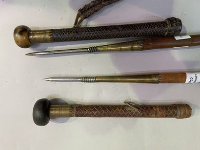 Set of two canes forming spears, the handles...
