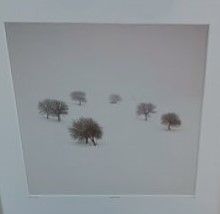 Photographies contemporaines.

Dimensions...