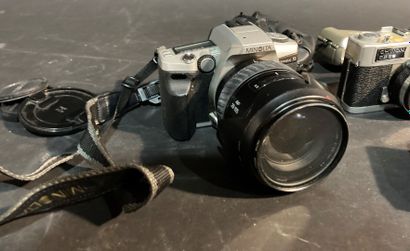 Lot of cameras (Minolta, Nikon, Olympus)...