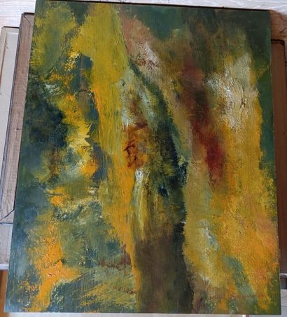 Painting by Mrs Geneviève Arthus Bertrand.
Oil...