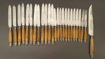 Knife set with horn handles, steel blade,...
