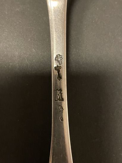 Single-flat silver sugar spoon. 
Province,...