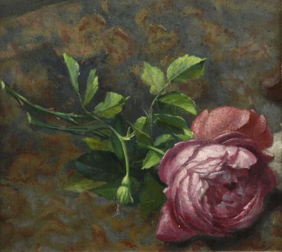 Attribué à Jules Ferdinand MÉDARD (1855 -...