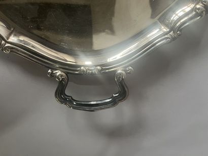Curved oval serving tray in 800-thousandth...