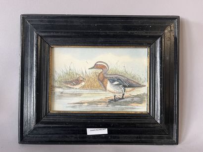 Lot of framed pieces. 

The smallest 