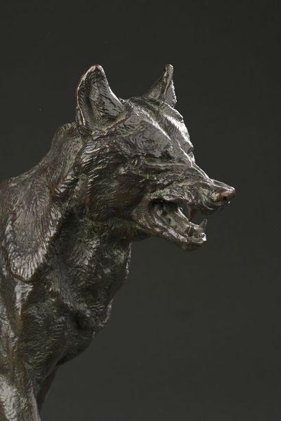 Antoine Louis BARYE (1795-1875). 
Le loup...