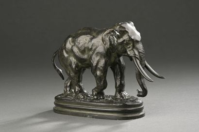 Antoine Louis BARYE (1795-1875). 
L'éléphant...