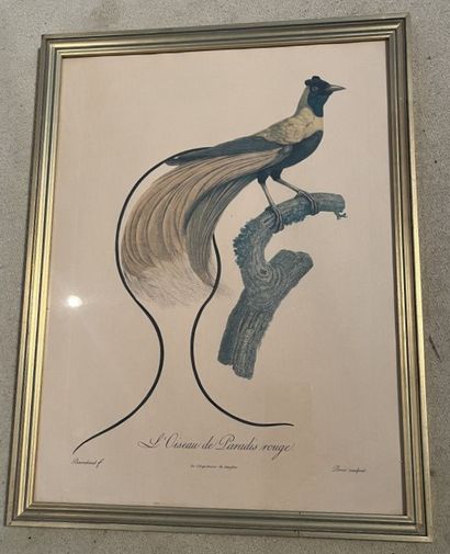 Lot de pièces encadrées : reproductions de...
