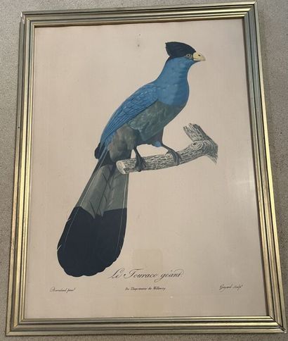 Lot de pièces encadrées : reproductions de...