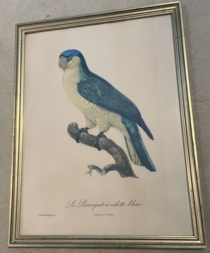 Lot de pièces encadrées : reproductions de...