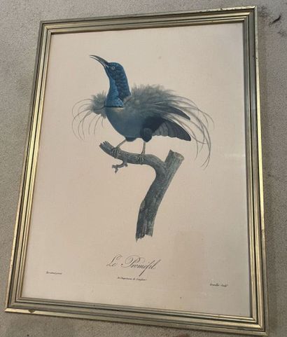Lot de pièces encadrées : reproductions de...