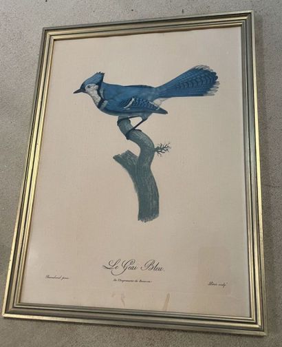 Lot de pièces encadrées : reproductions de...