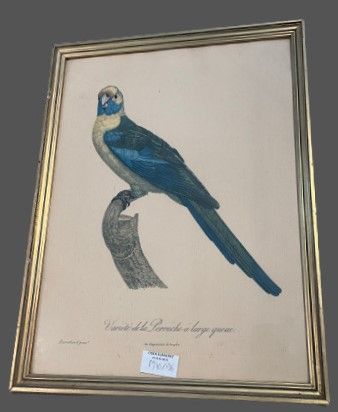Lot de pièces encadrées : reproductions de...