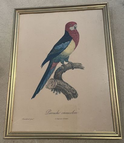 Lot de pièces encadrées : reproductions de...