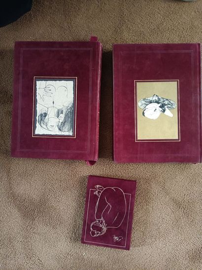 Large lot of books, mainly by Madame COLETTE....