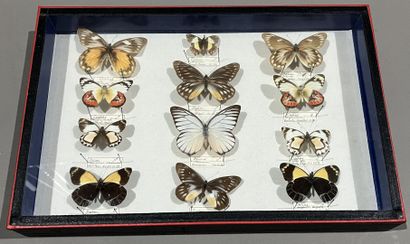 Four boxes of quilted butterflies, faded...