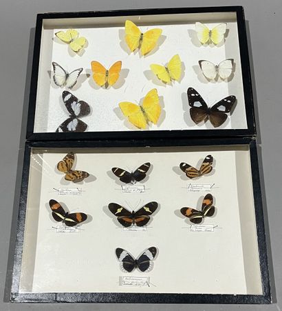 Four boxes of quilted butterflies, faded...