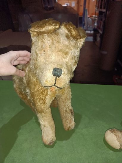 Lot of toys including two plush toys and...