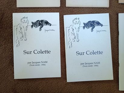 Large lot of books, mainly by Madame COLETTE....
