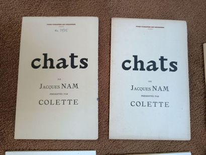 Large lot of books, mainly by Madame COLETTE....