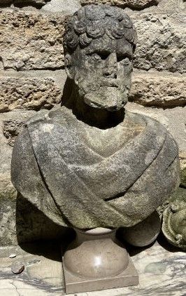 Buste d'homme barbu revêtu d'une toge en
pierre...