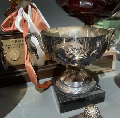 Fort lot de coupes et trophés de golf en...