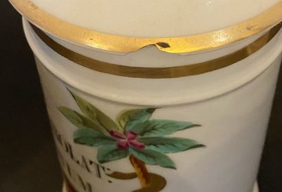 Huit pots à pharmacie en porcelaine à décor...