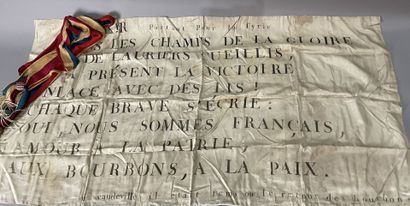 Bannière royaliste
65 x 126 cm
Accidents,...