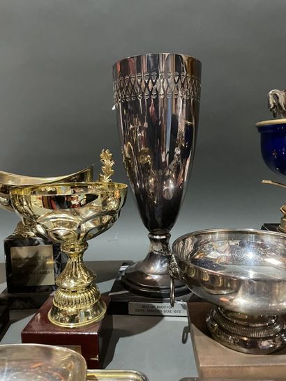 Fort lot de coupes et trophés de golf en...