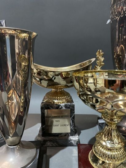 Fort lot de coupes et trophés de golf en...