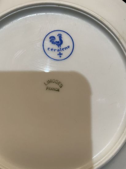 Parties de service de table en porcelaine...