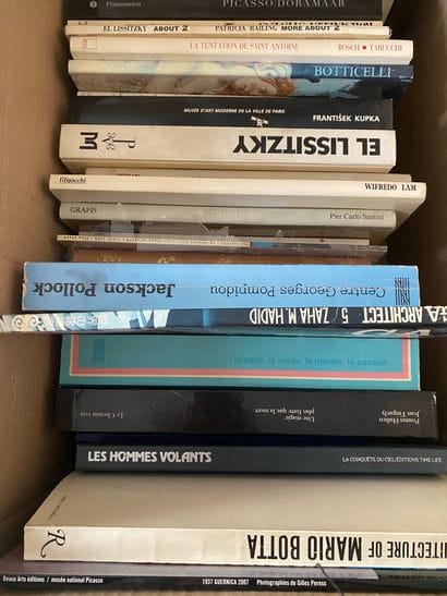 Lot of mainly art books and six books from...