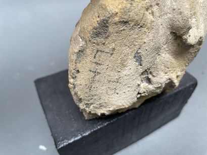 Jean LINARD (1931-2010) 
Character
Sandstone
Signed
H...