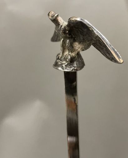 Hot-water bottle lamp in silver-plated bronze,...