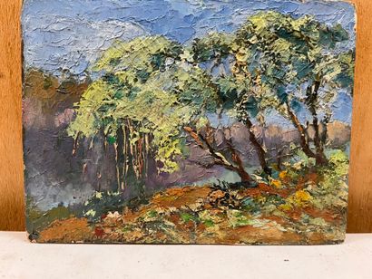 Modern school
Mangrove of Majunga
Oil on...