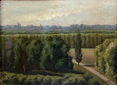 NP PEVOST
Landscape with trees
Oil on cardboard,...