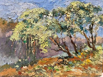 Modern school
Mangrove of Majunga
Oil on...