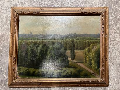 NP PEVOST
Landscape with trees
Oil on cardboard,...
