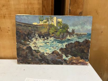 Michel PABLO
Tenerife
Oil on canvas, signed...